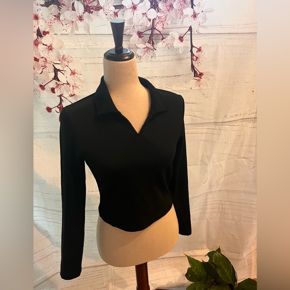 Dazy Crop top long sleeve